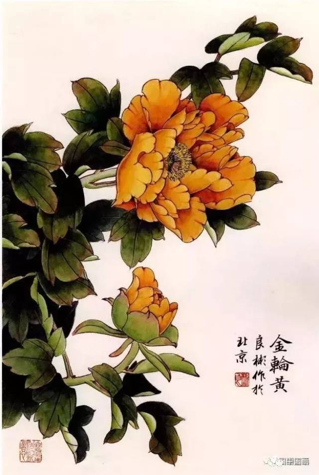自学教程:工笔牡丹画法图文步骤详解 工笔牡丹花上色的步骤图