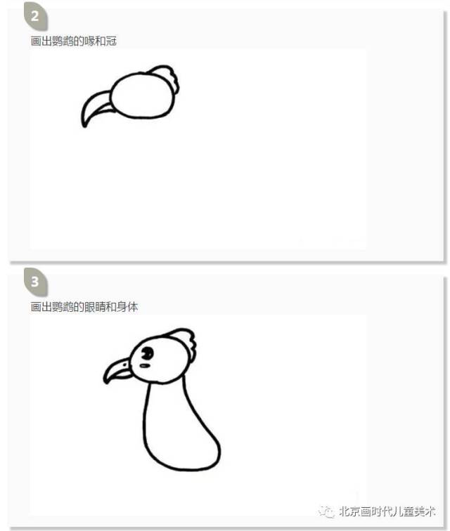 【21天免费学画画初级课】创意线描之鹦鹉