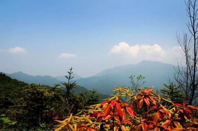 舜皇山顶峰 文高平摄