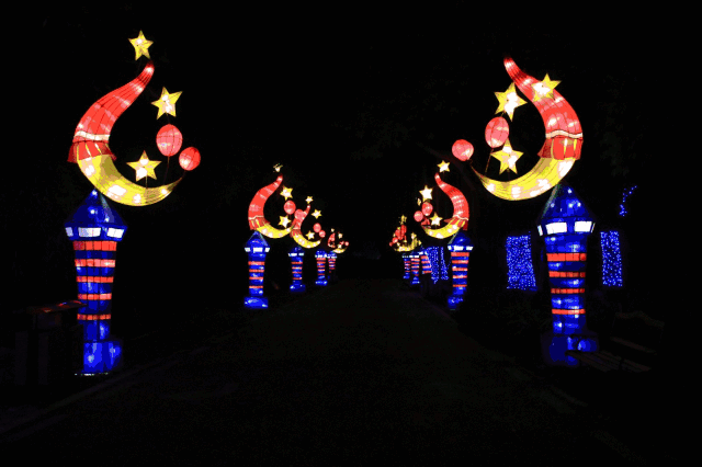 【荷花奇境迎国庆】在这里,没有拥堵,只有欢乐!