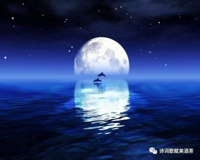 茶沫儿:《十五的月亮》