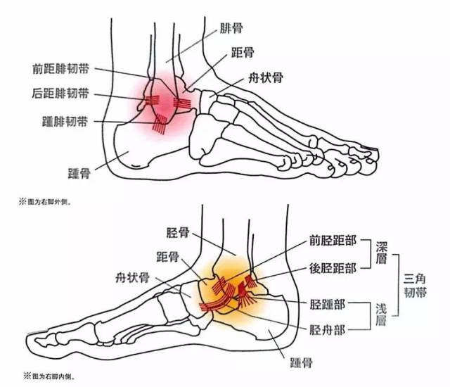 【干货】系列——详细的脚部常见伤害处理方法