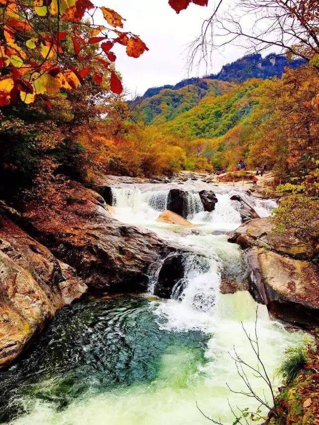 红叶是太白县最美的秋天-旅游频道-手机搜狐