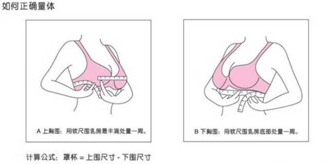 我们的胸分为上胸围和下胸围,需要依据上下胸围之差来选择罩杯