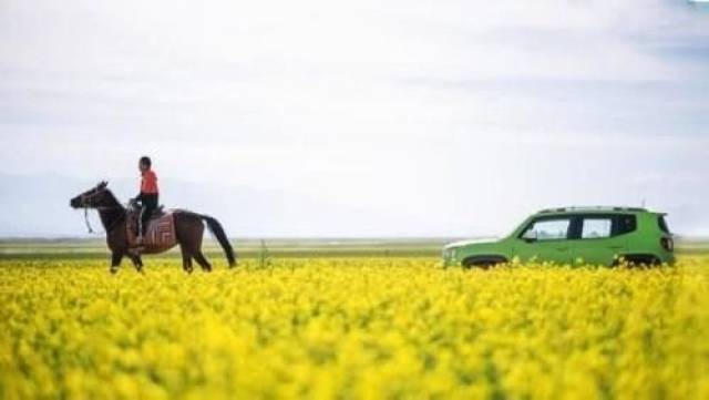 【微博新闻】2017年10月6日周五