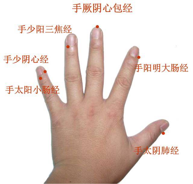 手诊面诊:如何通过手指和指甲诊断疾病和健康