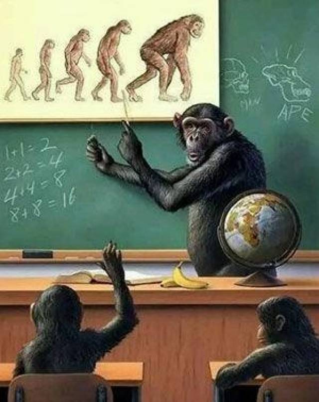 教科书所教的是人怎么进化成猩猩!