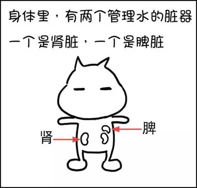 a3a84f64c5a845e881ee8ace13d91399.jpeg