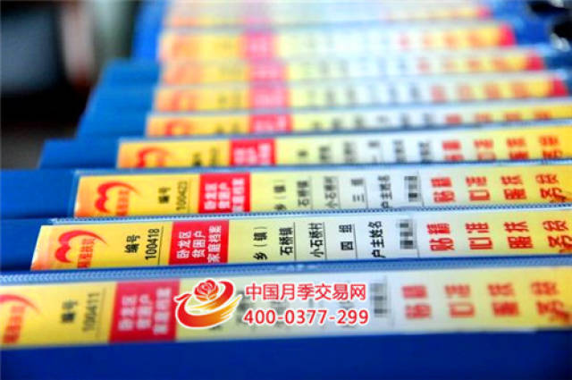 石桥镇:以月季花卉为主导 全镇经济蓬勃发展(图5) 石桥镇:以月季花卉为主导 全镇经济蓬勃发展(图5)