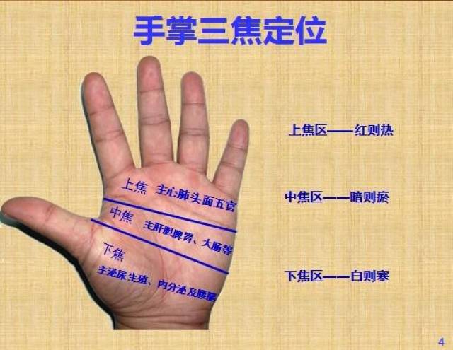 手诊面诊:如何根据手掌形状,颜色诊病