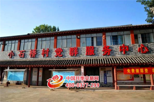 石桥镇:以月季花卉为主导 全镇经济蓬勃发展(图1) 石桥镇:以月季花卉为主导 全镇经济蓬勃发展(图1)