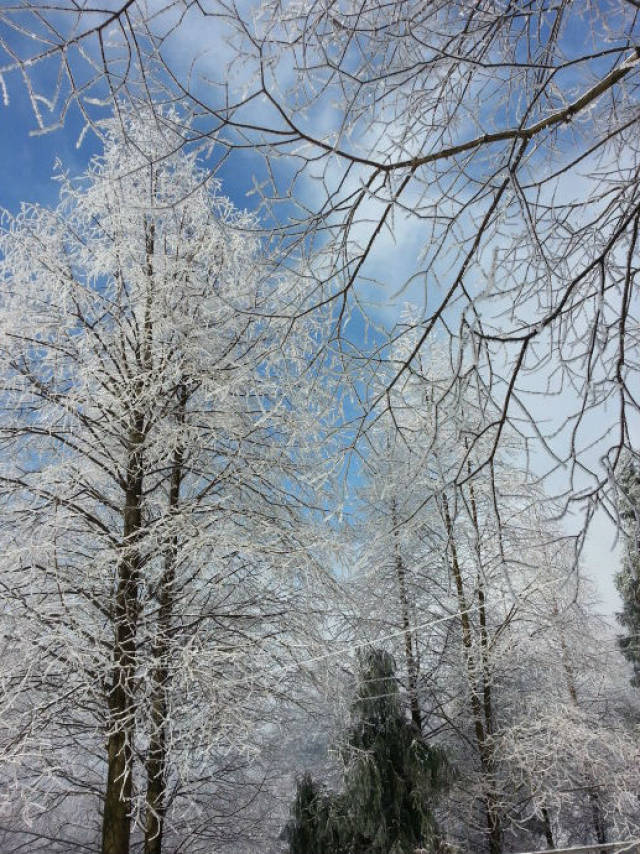怎么看会不会下雪 bb8cbde90ded4098ba734df0b2cbfd74.jpeg