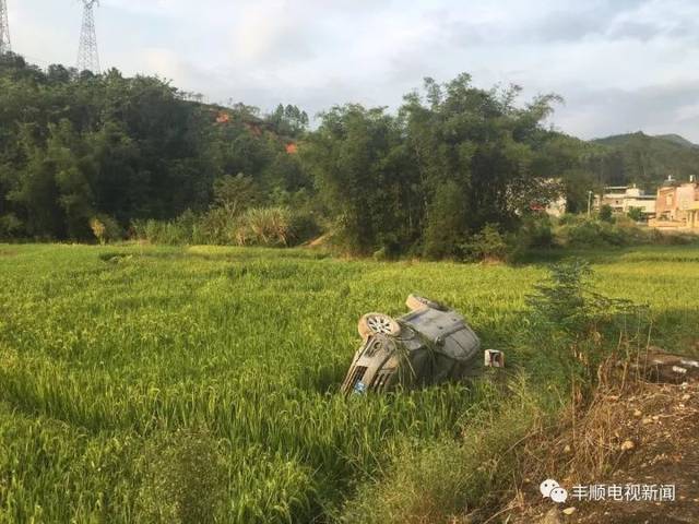 就在昨天下午5点左右 在丰良镇太平村路段就有一部小汽车直接"开落"