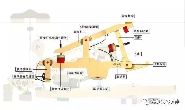 钢琴结构知识普及-----钢琴击弦机分解图