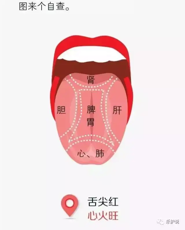 五脏好不好,看看舌头就能知道?