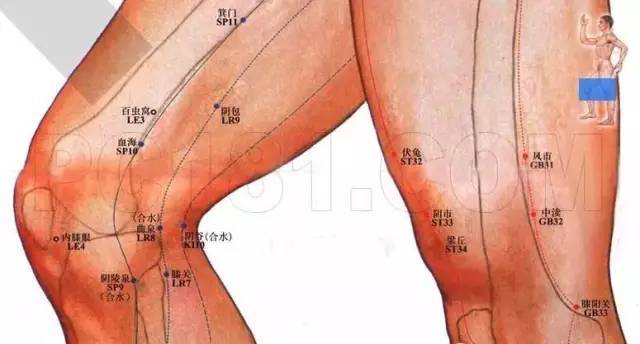 腿内侧有肝经,脾经,肾经;腿外侧有胆经,胃经,膀胱经,每条经络的通畅