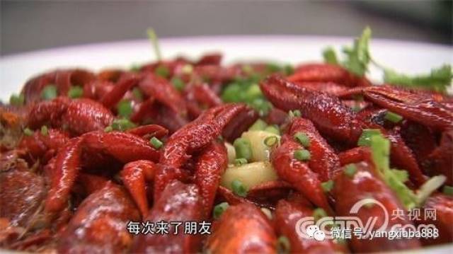 励志!虾叔小龙虾养殖六年艰辛创业梦!