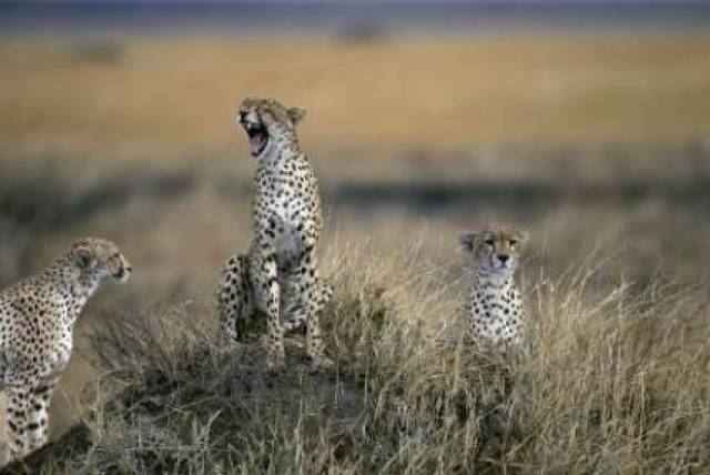 几个快速提升手机摄影的技巧,包你分分钟学会