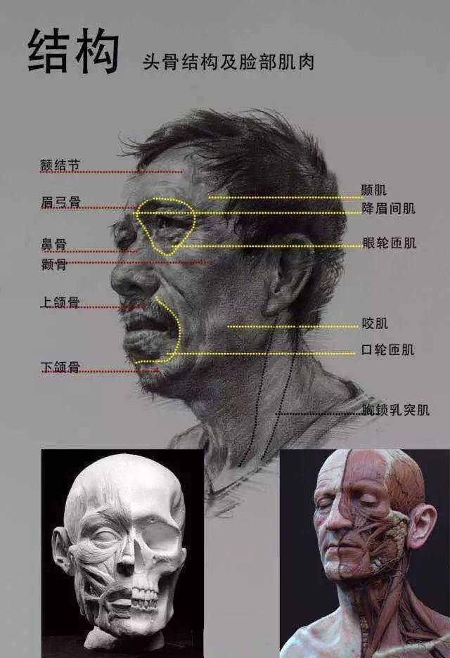 【素描教程】 你必须要知道的素描基本知识,还不收藏!