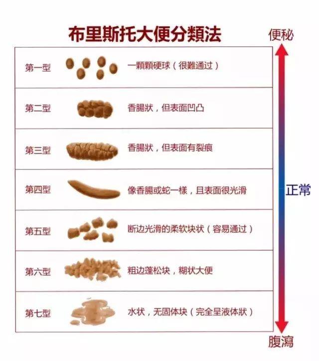 大便稀的话是到什么程度,是完全的液体状还是稀糊状;大便干的话,它是