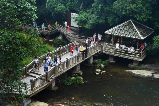 这几年家乡的新变化~武平的美,你都发现了多少?-旅游