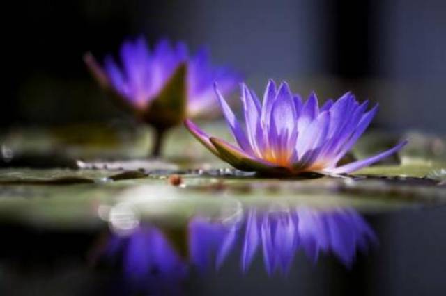 几个快速提升手机摄影的技巧,包你分分钟学会