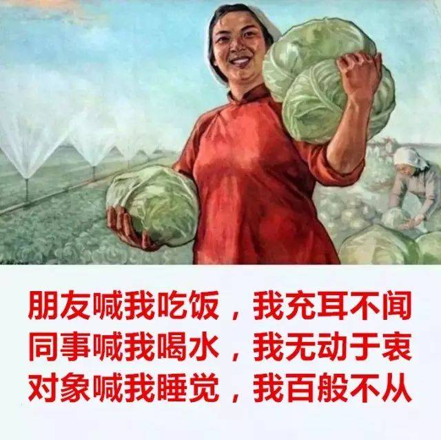 抱歉|龙城只能跟你说,你的假期已不足24小时-搞笑频道