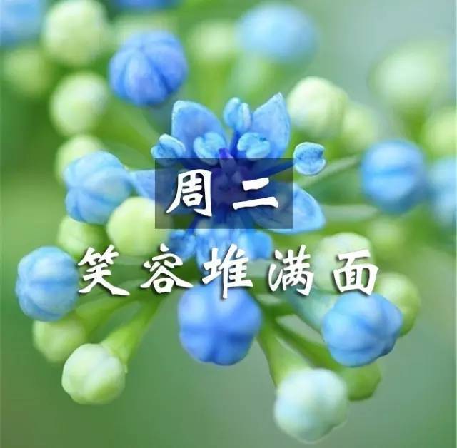早上好,今日寒露,清晨的第一声问候送给我的朋友,感恩
