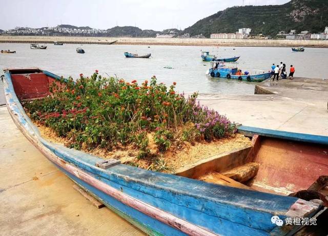 温州| 洞头岛:陌生的海与熟悉的海鲜