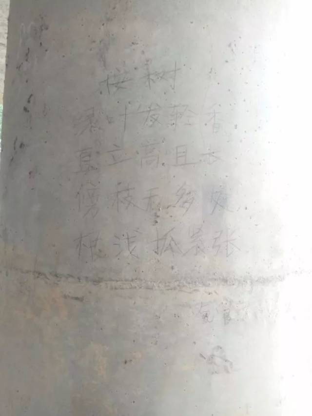 广西这个乞丐一夜之间火了,只因他在桥下做了