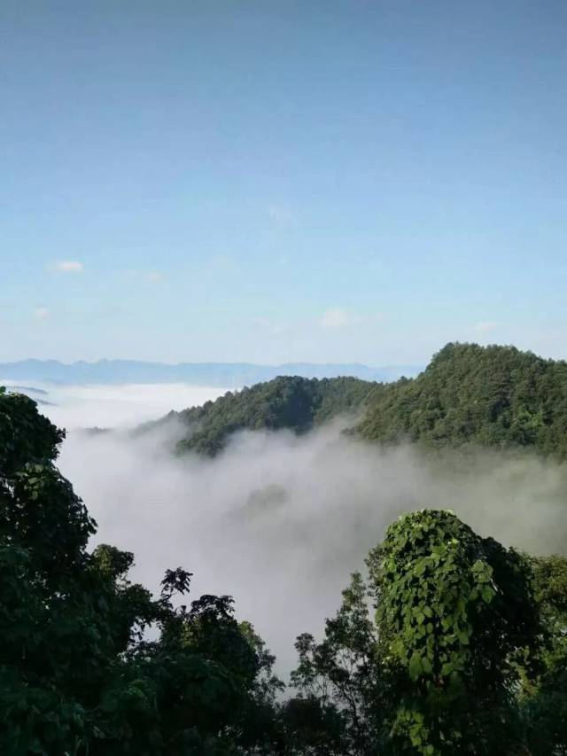 云海是山岳风景的重要景观之一,当你在高山之颠俯视云层时,看到的是漫