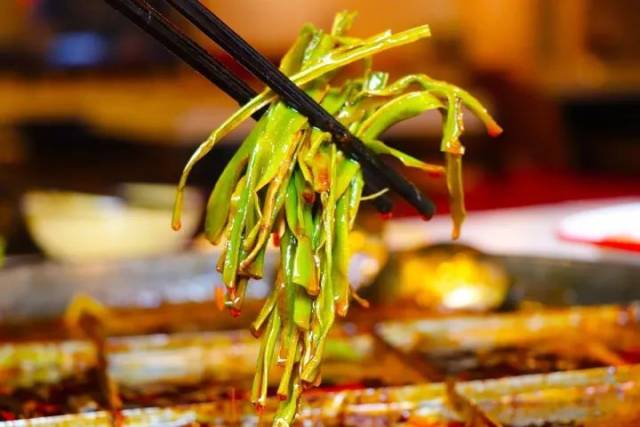 干贡菜是很多重庆火锅里必点的菜,即使煮在油汤里也能清新香怡,脆脆的