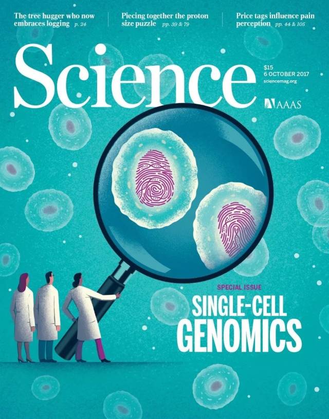 本期《科学》(science)杂志的封面特刊聚焦单细胞基因组学(single
