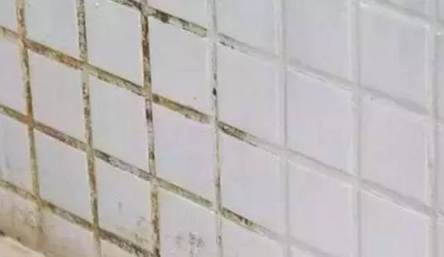 卫生间瓷砖清缝 356f9774ea0245458d2d555524c23447.jpeg