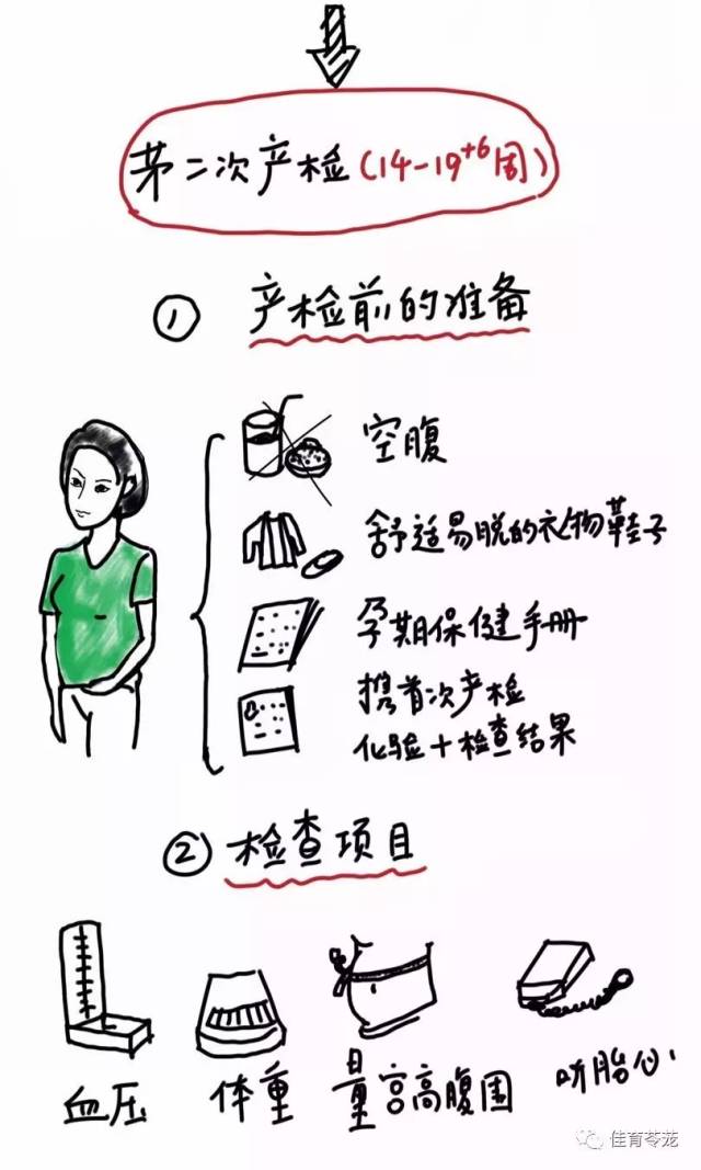 上述流程根据中华医学会妇产科分会产科学组制定的"孕前和孕期保健
