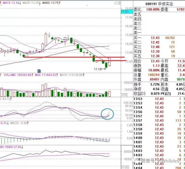 技术6 6系列(指标 选股预警)图展示 600191华资实业(超级大阳选股预警