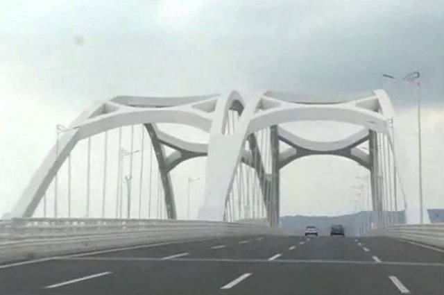 东海岸大道是东海岸新城南侧临海的一条城市主干道,西起泰星路,东至我