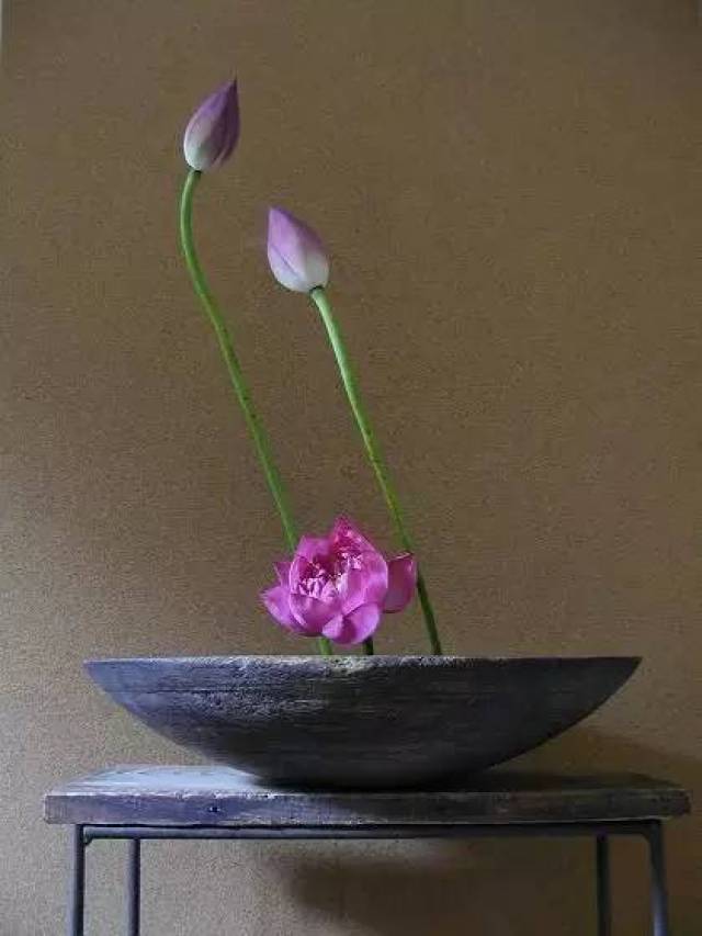 花材:荷花 花器:陶瓮 莲花,是代表拯救和仰慕的花.