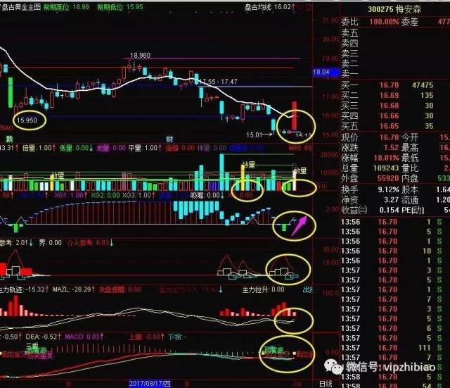 高开点位-收盘=25点【源码】主图指标:黄金分割 买点信号【技术选股】