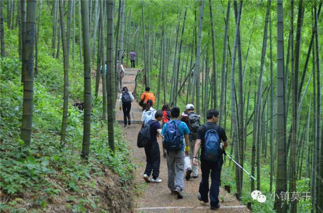 附近还有莫干山国家登山健身步道, 一路上山间小道,古道…… 可以尽情