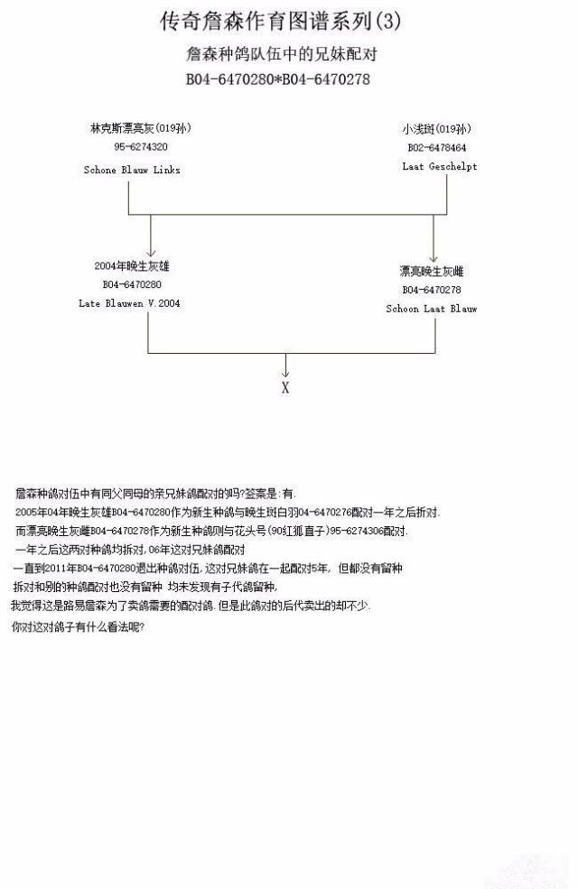 科普| 三张图看传奇詹森如何育种
