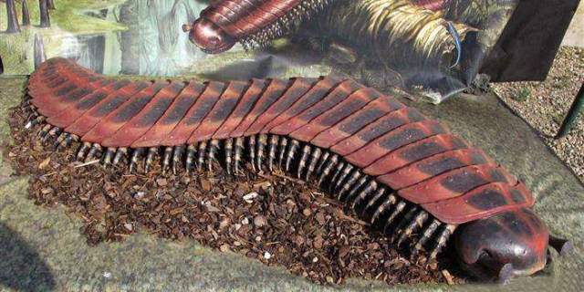 泰坦巨蟒怎么打 3f2924efac0145b29d9b96a07195b8ee.jpeg