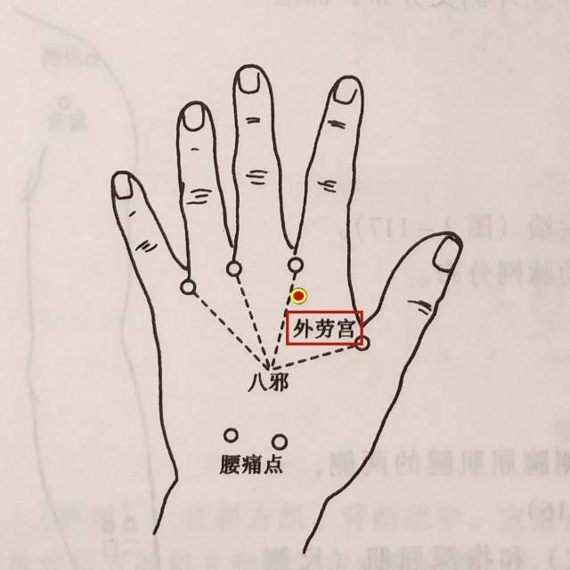 在手背侧,当第2,第3掌骨之间,掌指关节后约0.5寸处.