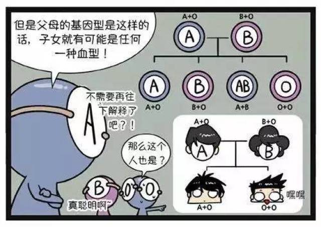 漫画说:父母的血型是怎样遗传给子女的?