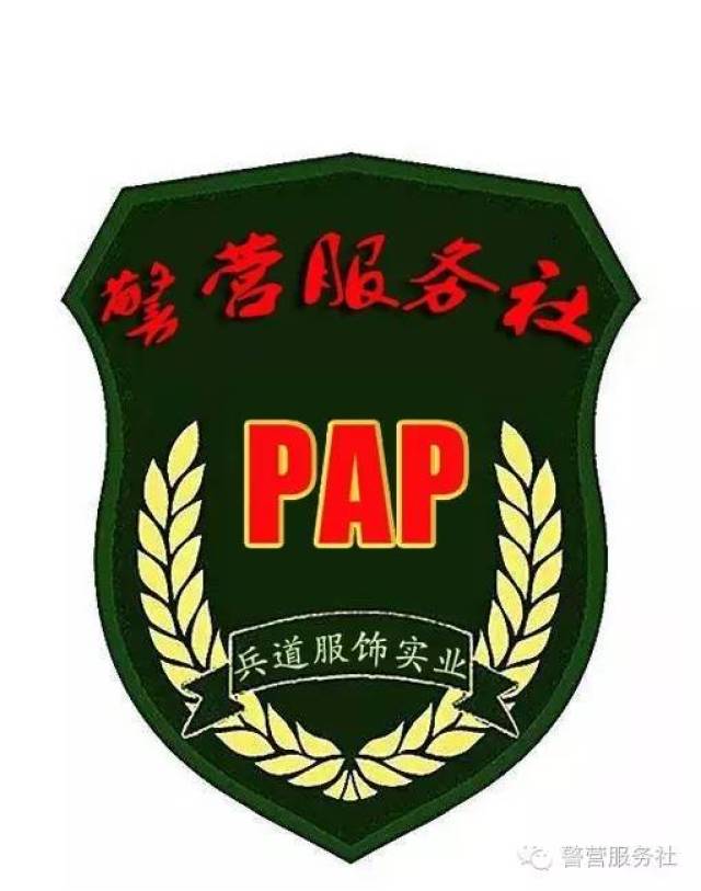 pap-16式武警虎斑特战作训大衣