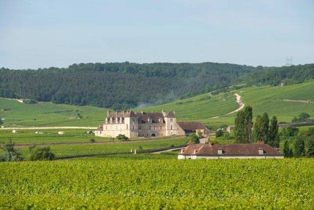 勃艮第地区—伏旧园(chteau du clos de vougeot