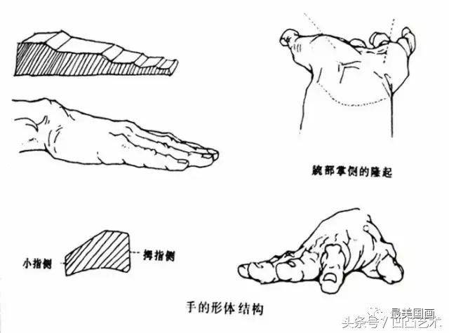 c8b9001a84874a14a32a095482e6e6a7.jpeg