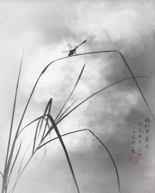 他是一位摄影大师,更是一位丹青圣手/郎静山作品集
