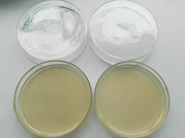 首先配制细菌,丝状真菌易生长的pda培养基制成平板;然后在超净台内