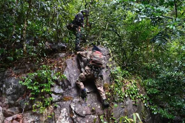 特种兵教你野外生存技巧